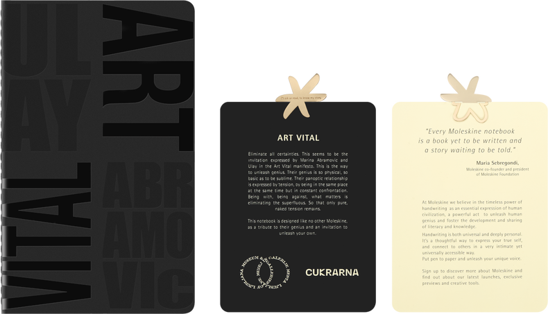 SET OF 2 CAHIERS L PLAIN ABRAMOVICH