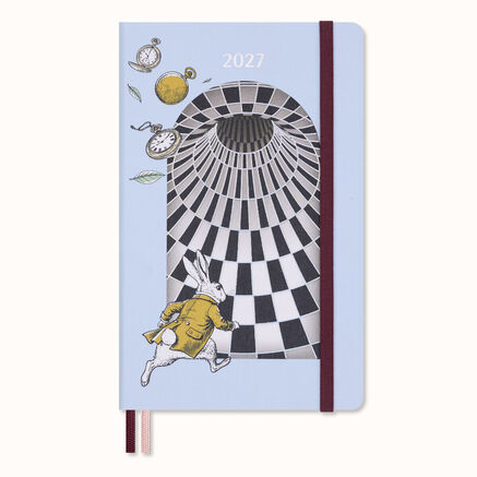 12M ALICE WONDER DAILY LG HARD NO BOX