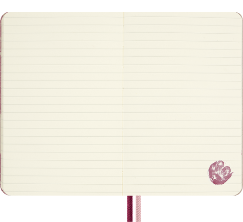 LE NB SAKURA POCKET RULED + BOX