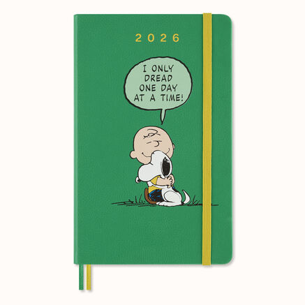 12M PEANUTS DAILY L CHARLIE & SNOOPY