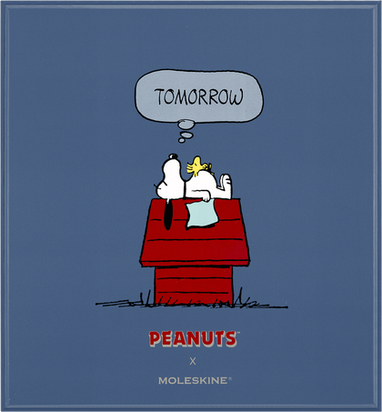 THEMED BOX NB RUL SNOOPY+GRAPHITE PENCIL