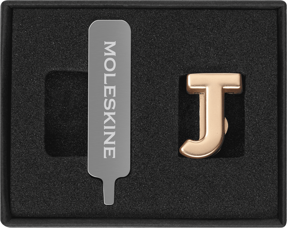Letters and Symbols PINS J GOLD