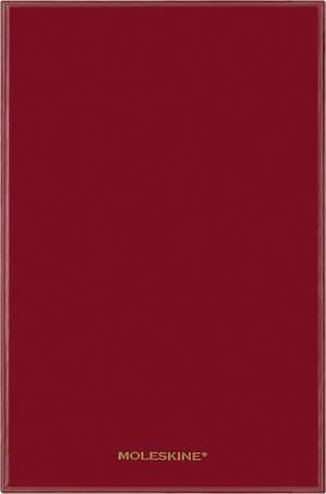 HORSE-VEGEA LARGE RULED NTBK+ BOX