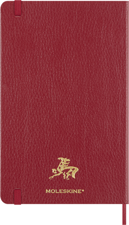 HORSE-VEGEA LARGE RULED NTBK+ BOX