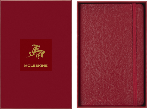 HORSE-VEGEA LARGE RULED NTBK+ BOX