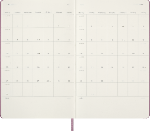 12M DAILY LG HARD MAJESTIC PINK + TEXT