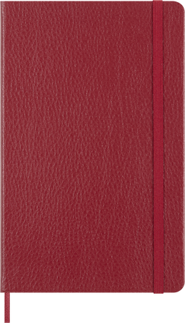 HORSE-VEGEA LARGE RULED NTBK+ BOX