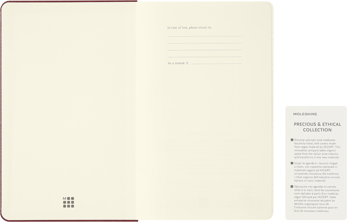 HORSE-VEGEA LARGE RULED NTBK+ BOX