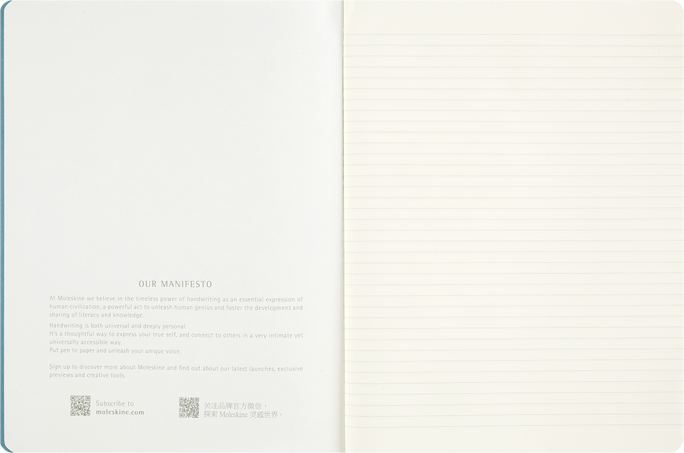 LE PEANUTS LINUS SINGLE CAHIER XL