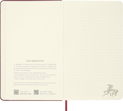 HORSE-VEGEA LARGE RULED NTBK+ BOX