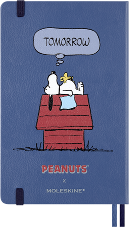 NOTEBOOK SNOOPY RULED L HARD WITH BOX
