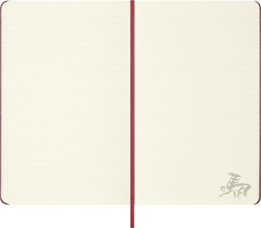 HORSE-VEGEA LARGE RULED NTBK+ BOX