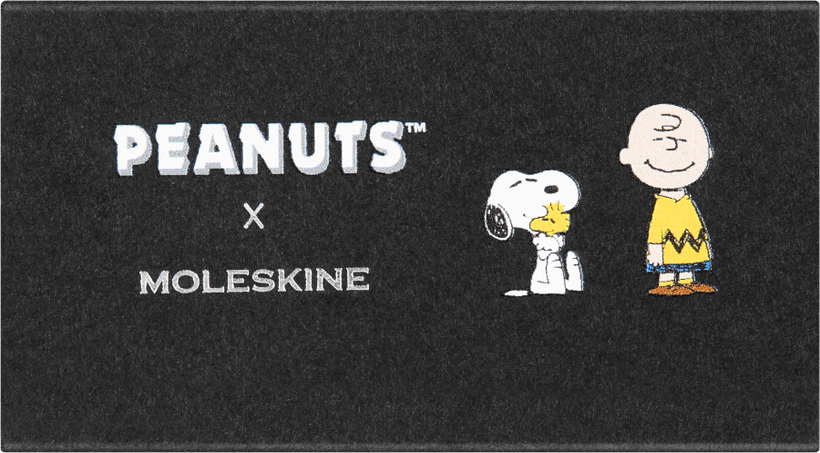LE PEANUTS BUND PIN X2