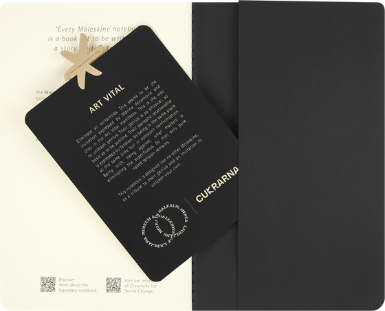 SET OF 2 CAHIERS L PLAIN ABRAMOVICH