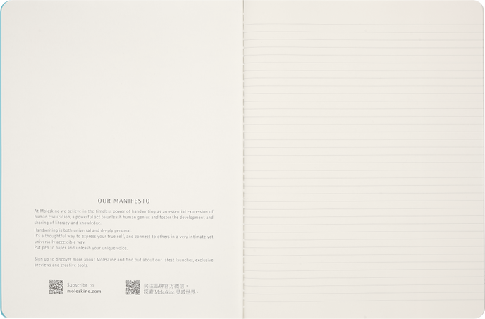 CAHIERS XL RULED - MUSEE D'ORSAY SKU5