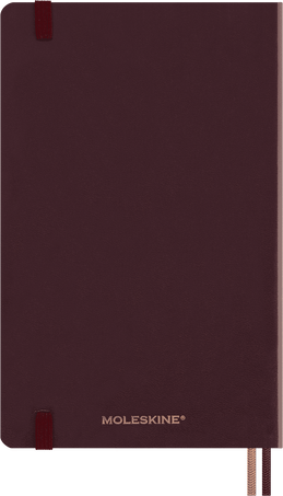 Wizarding World Harry Potter Limited Edition 12-Month Daily Diary/Planner, Large, Hard Cover - Back view