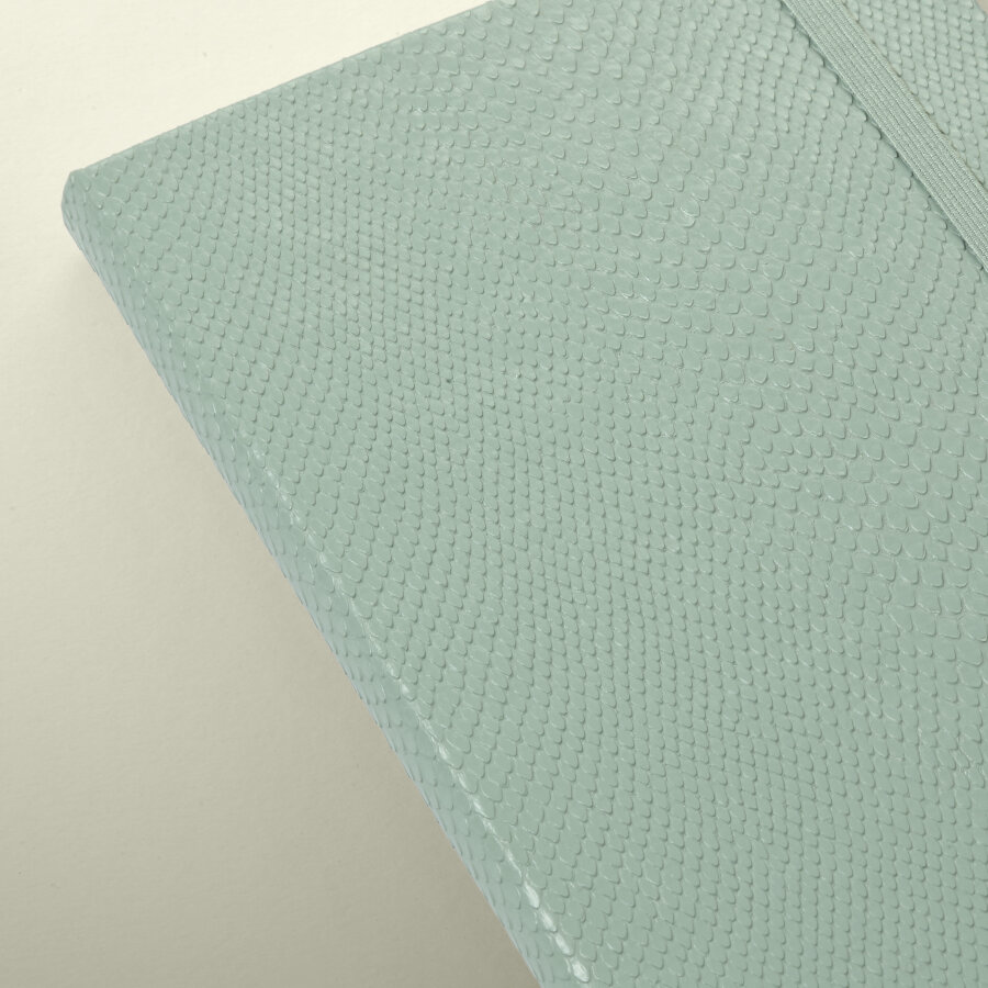 Forma by Moleskine Notebook & Gift Box, Sage Green