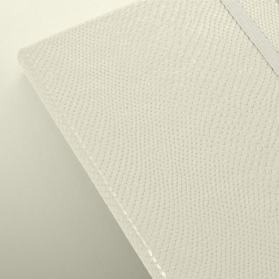 Forma by Moleskine Notebook & Gift Box, Ivory
