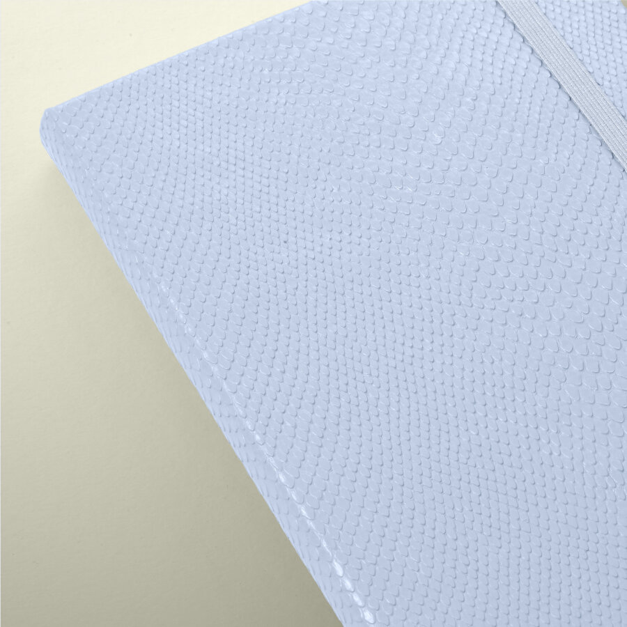 Forma by Moleskine Notebook & Gift Box, Icy Blue